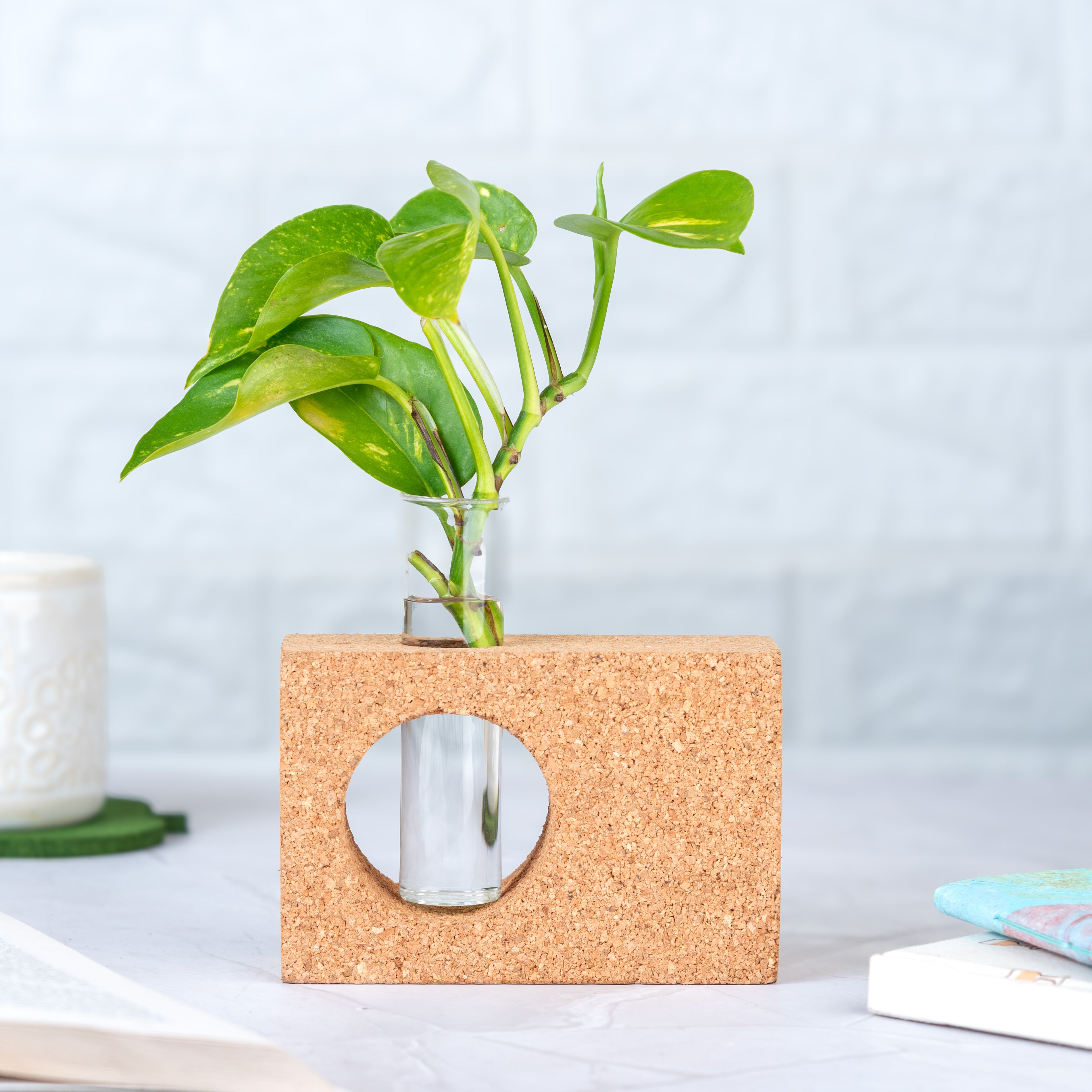 'Minimal' Cork Table Test Tube Planter/Vase