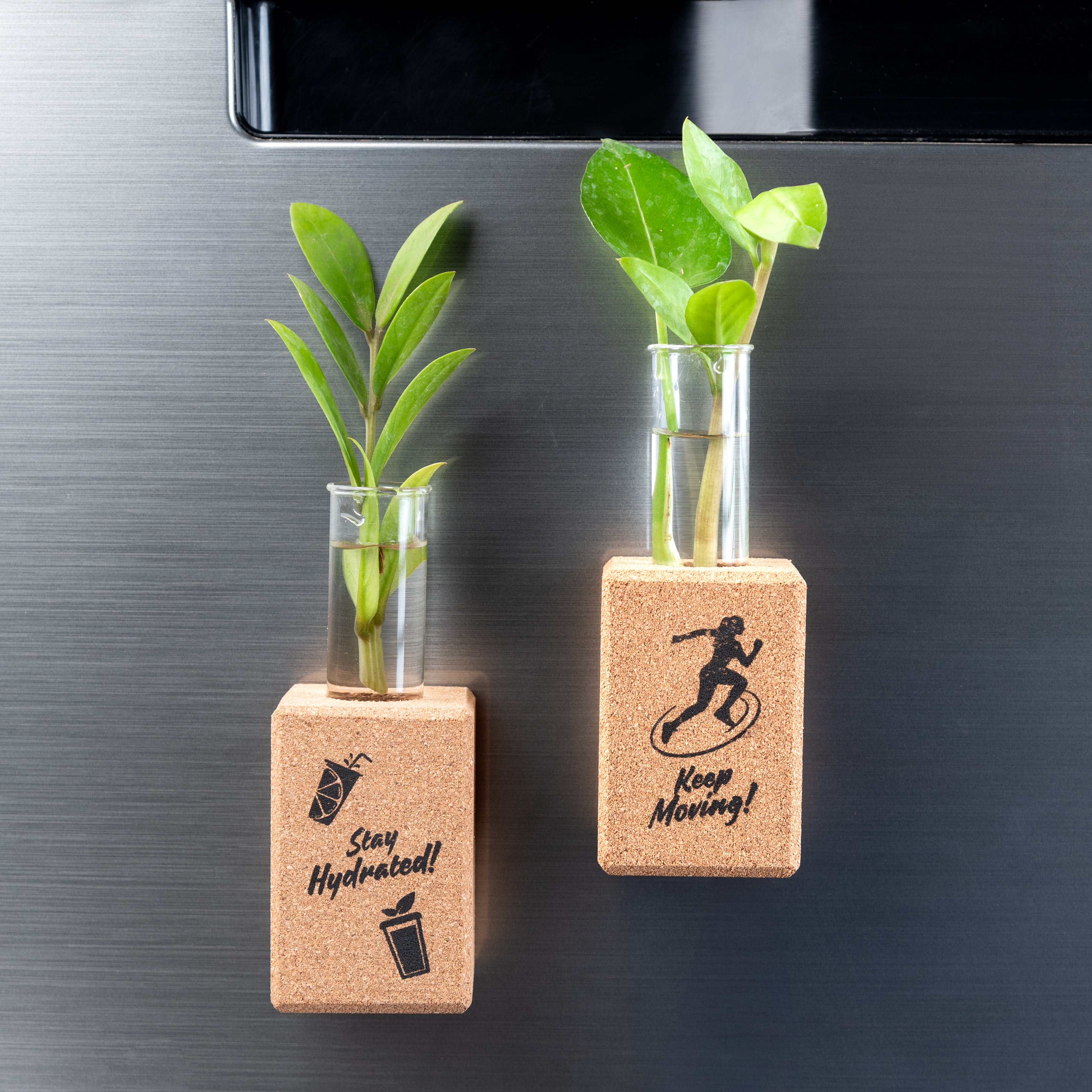 'Stay Fit' Magnetic Fridge Planters/Vase (Cork)