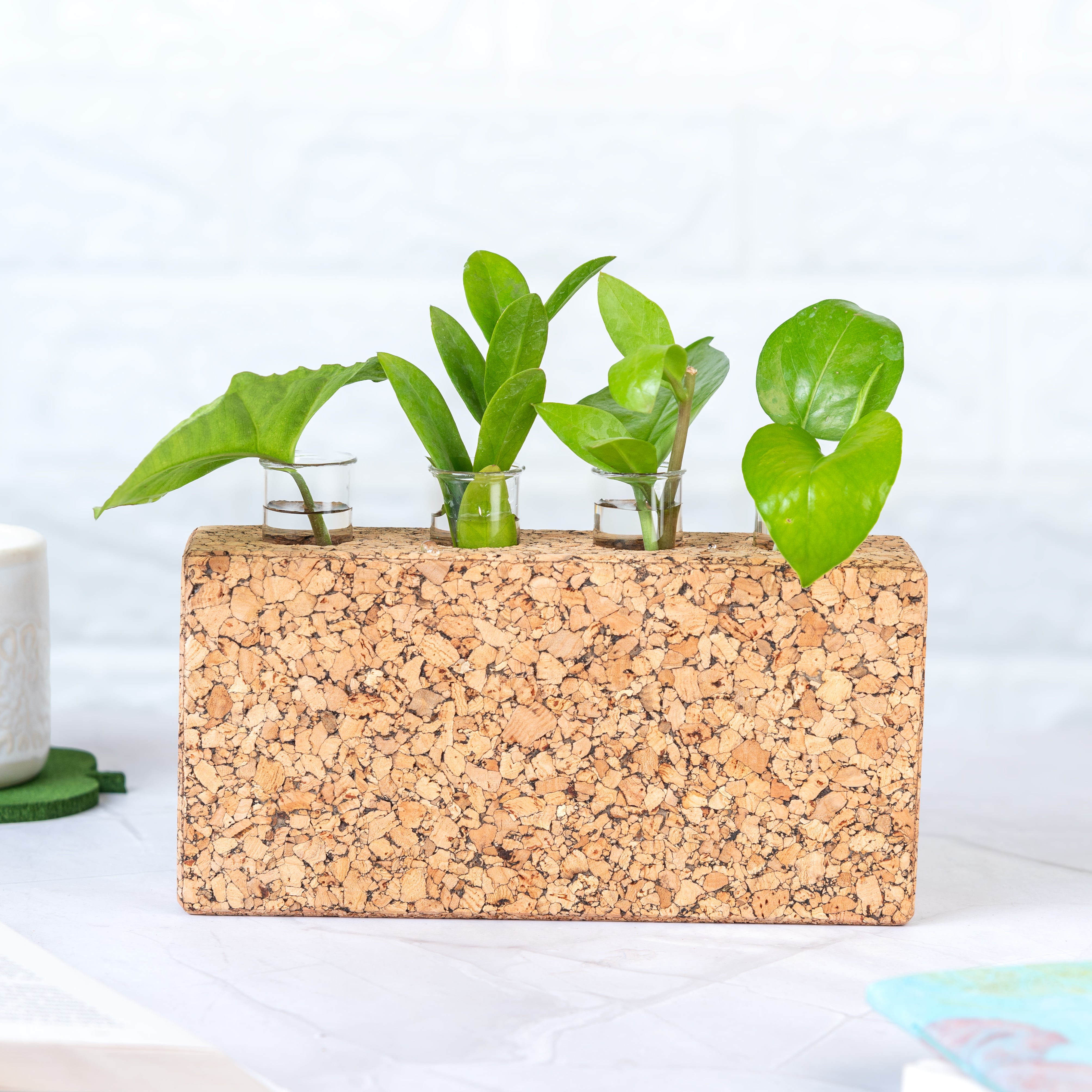 'Blooming Brick' Cork Test Tube Vase/Planter