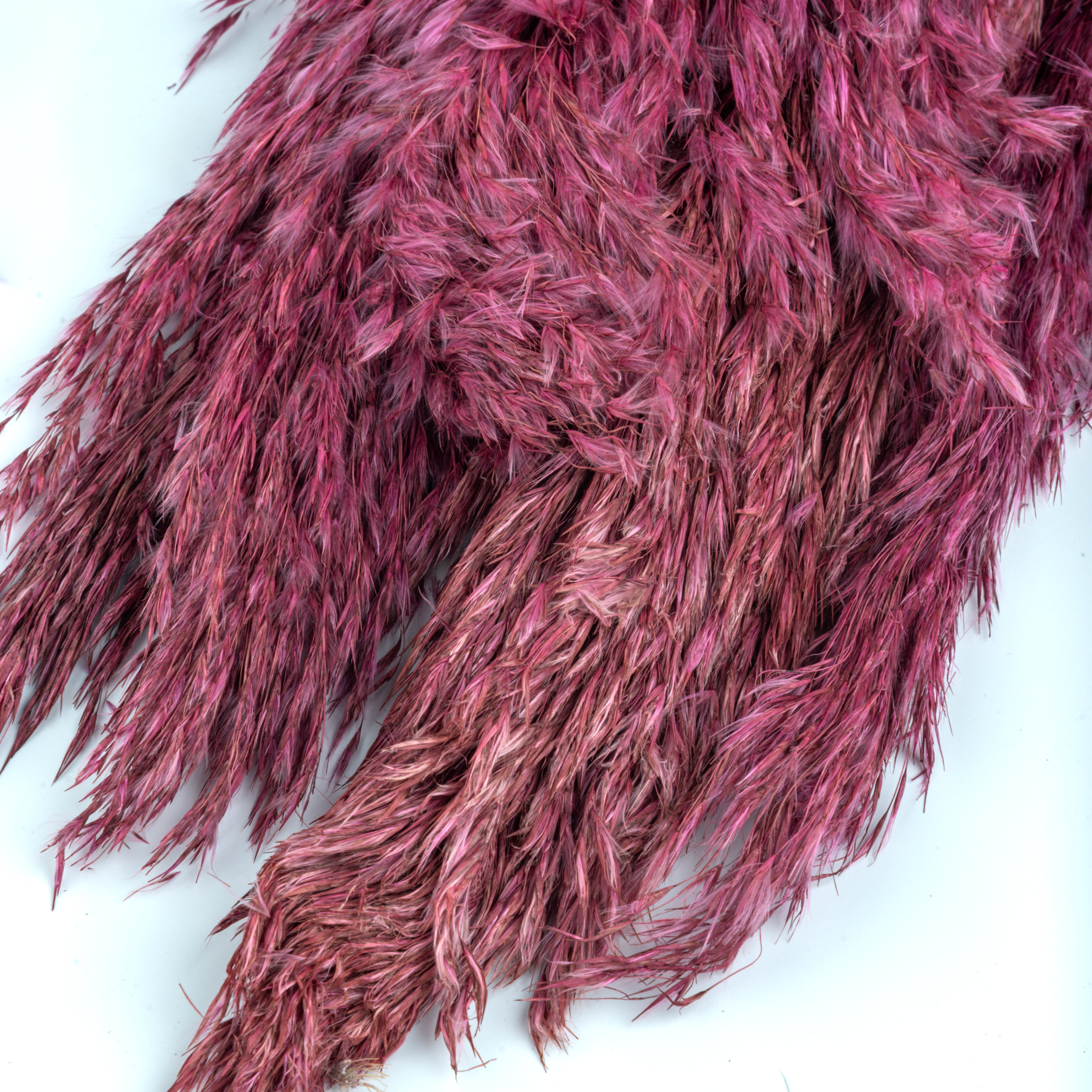 Natural Dried Pampas Grass – 5 Stems (Vibrant Pink)