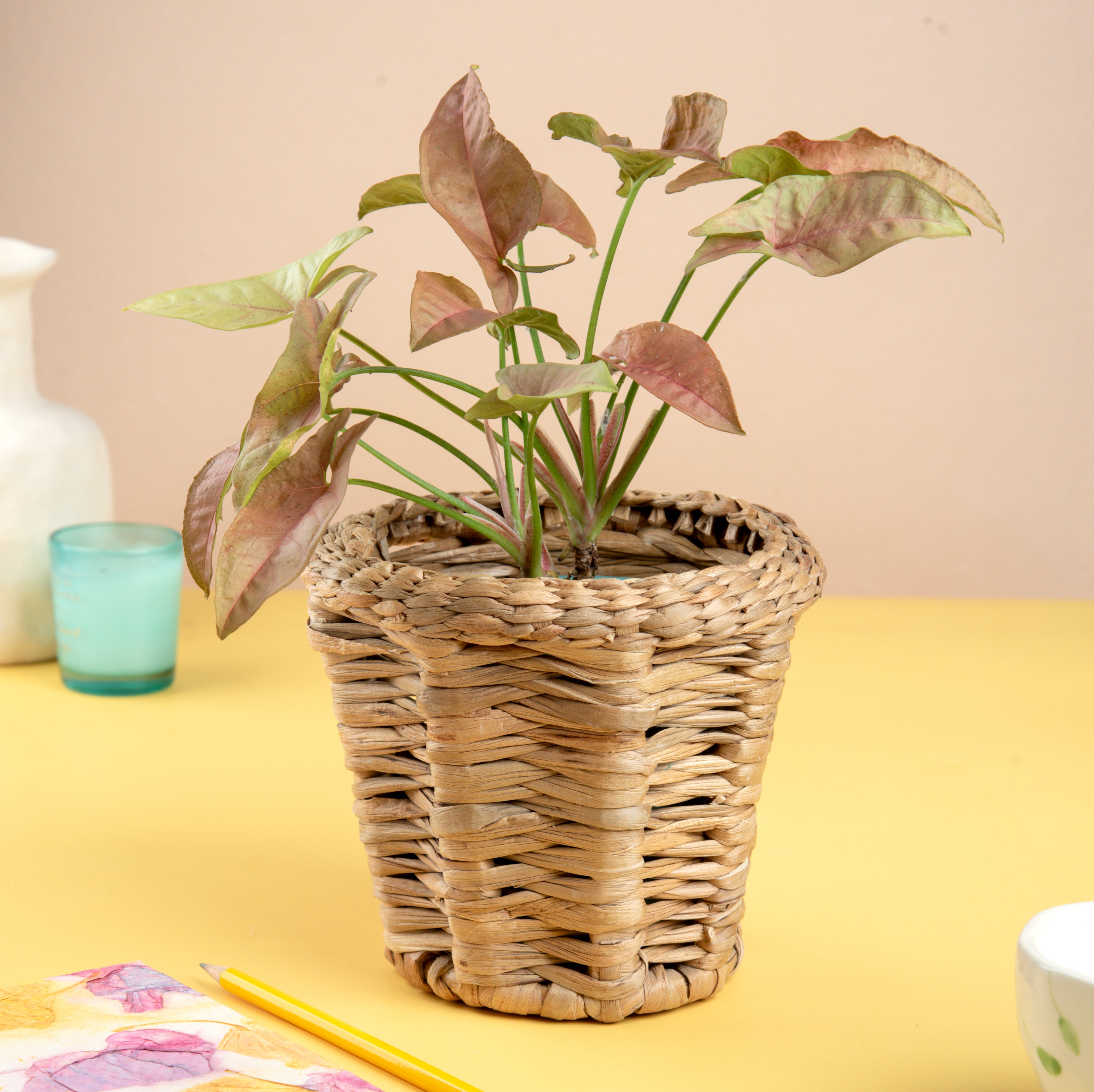 Natural Water Hyacinth Handcrafted Plant Basket