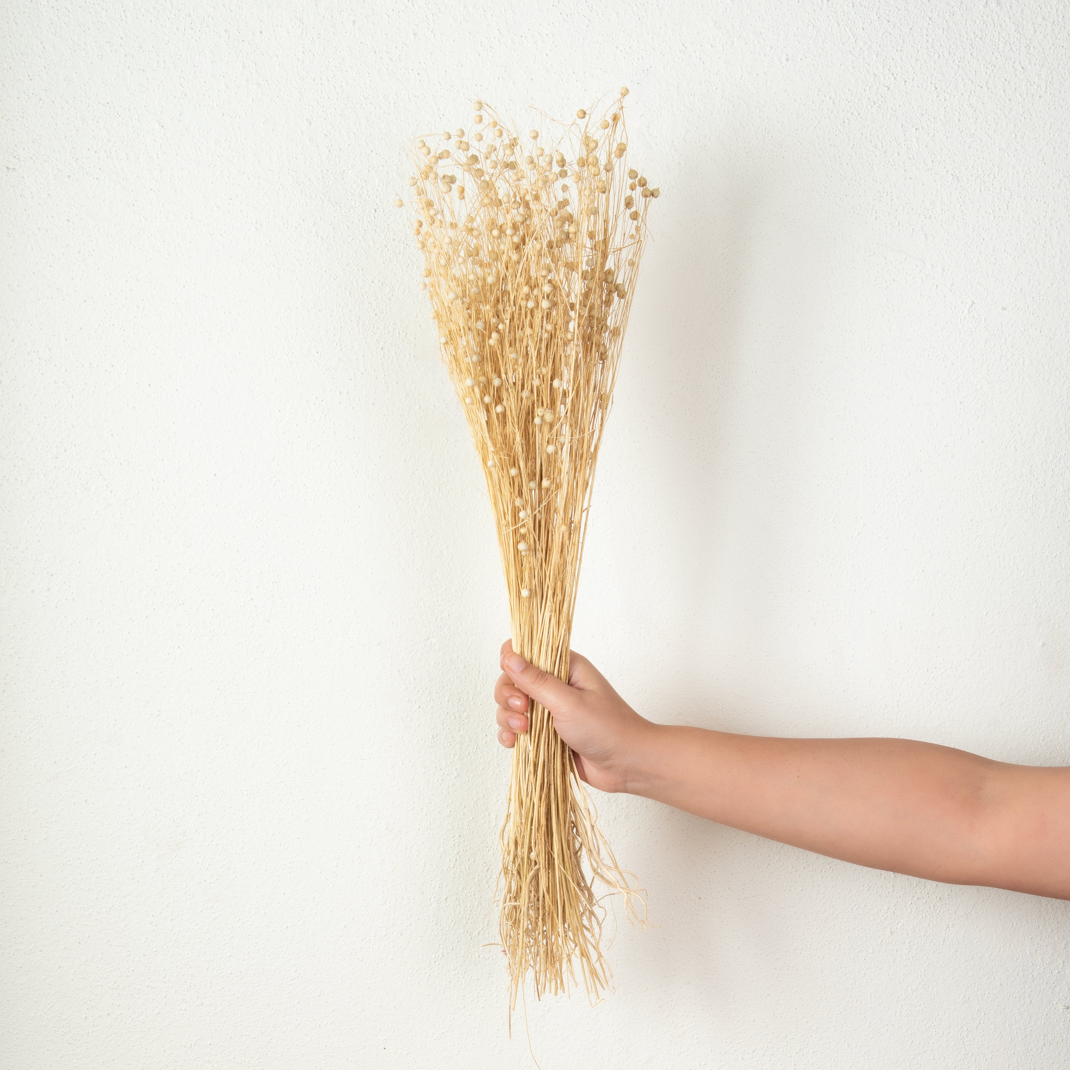 Natural Dried Tishi Grass 50 grams Bundle (Vase Filler for Home Décor)-Yellow