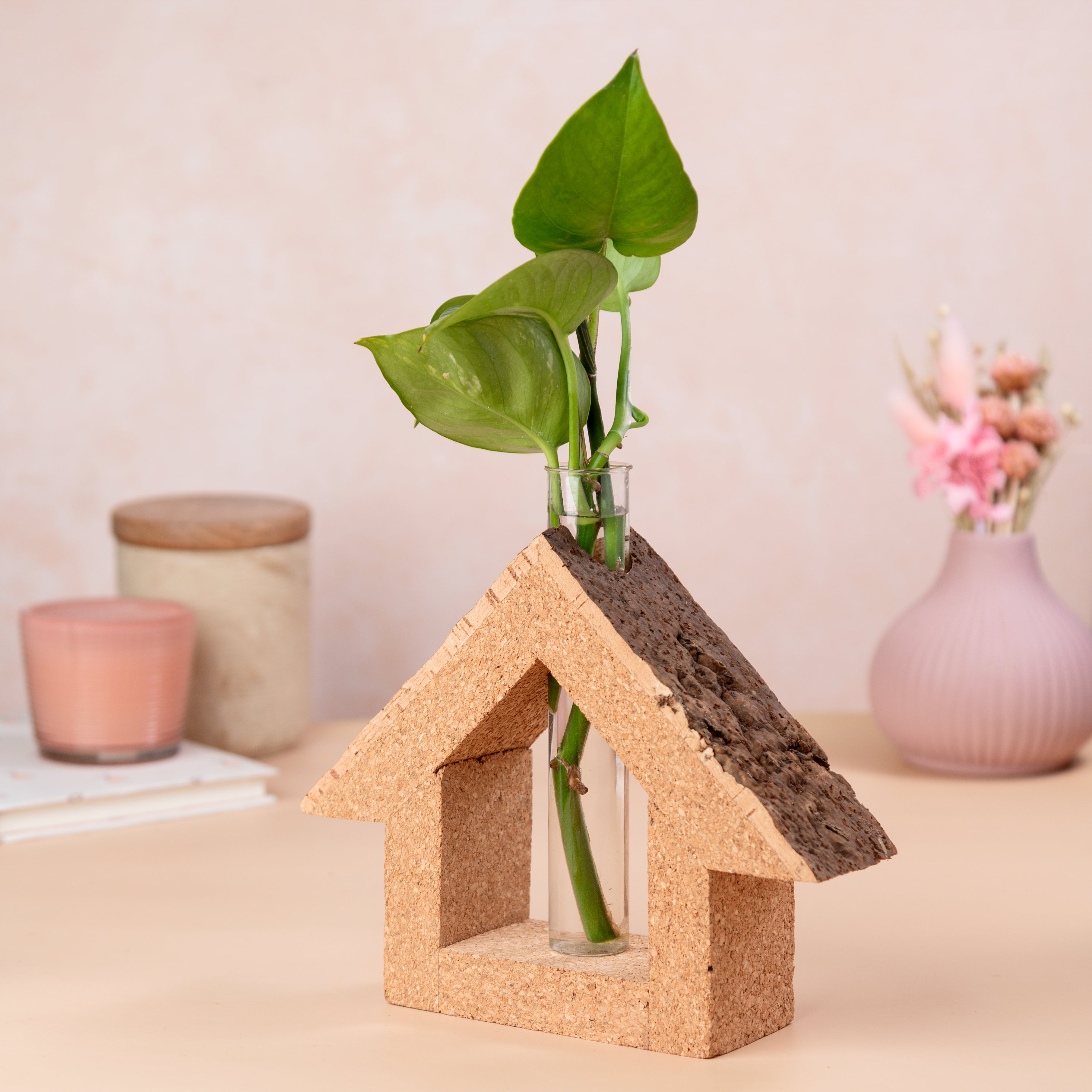 Cork Cottage Test Tube Planter/Vase