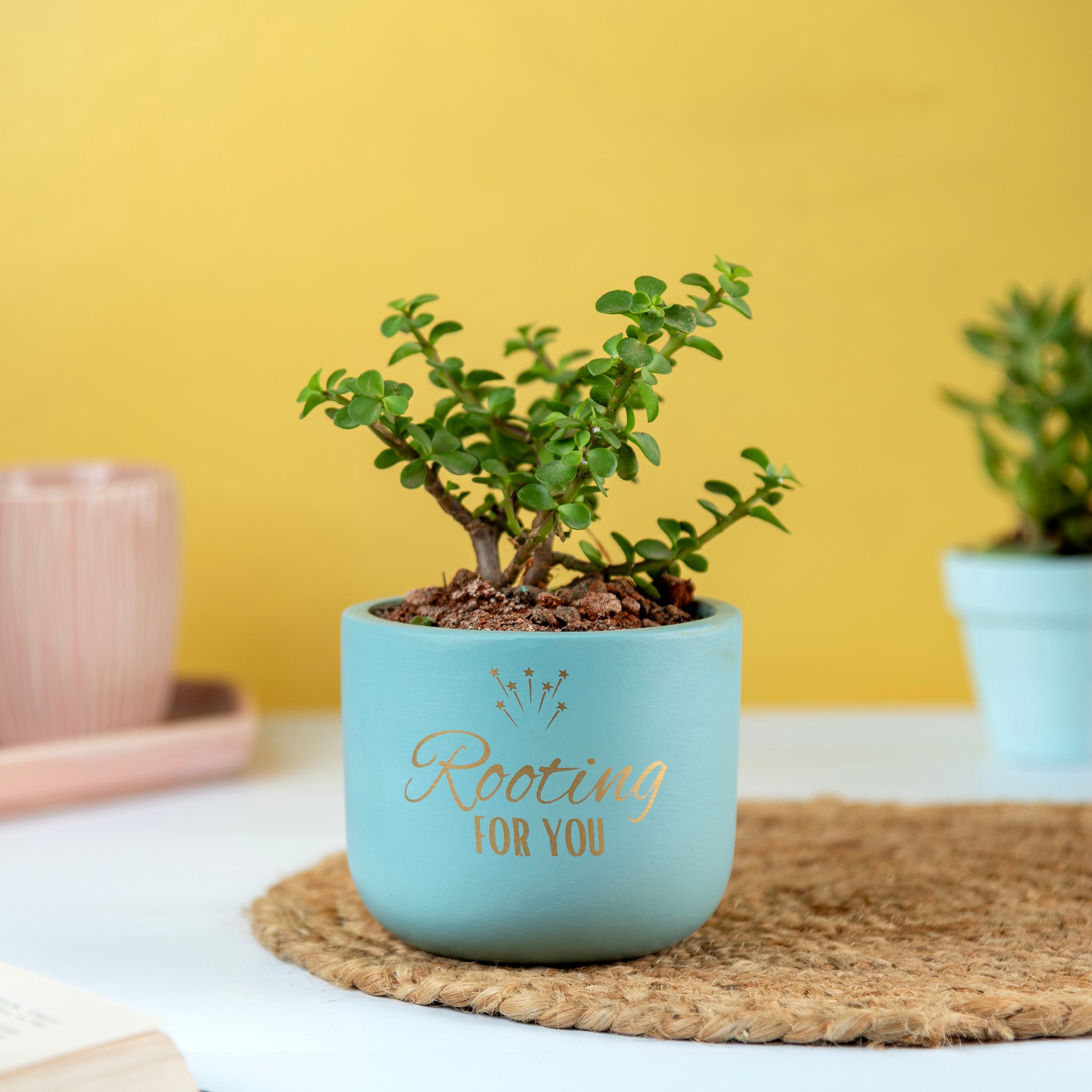 'Rooting for You' Terracotta Planter