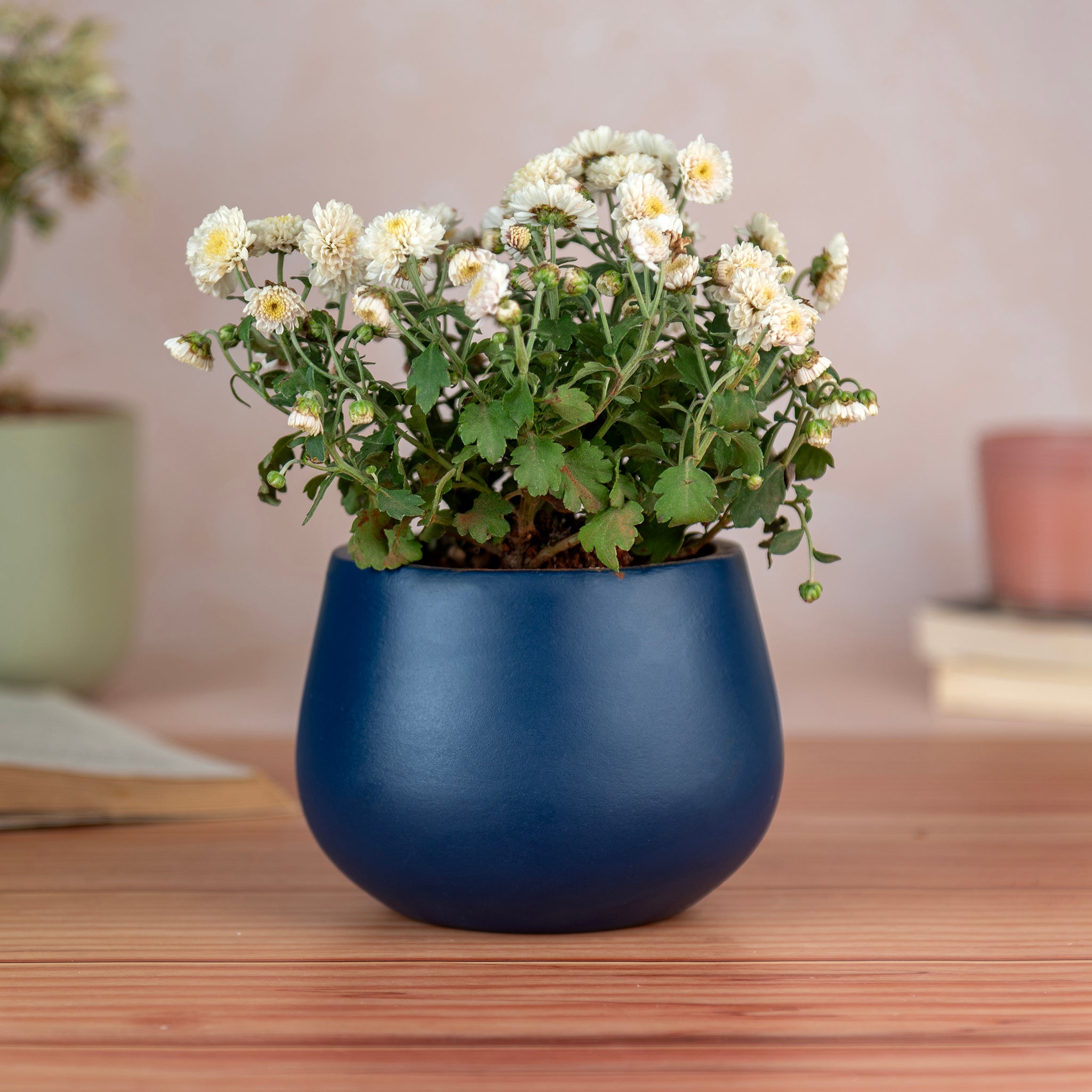 Artmansha 'Minimal' Dark Blue Terracotta Planter