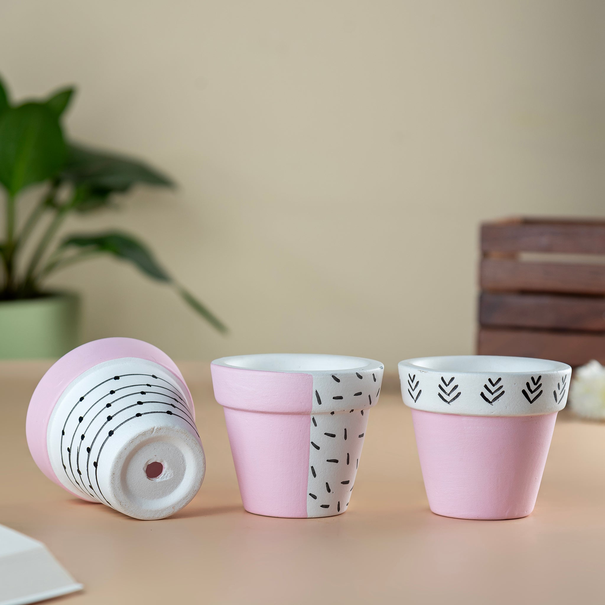 Set of 3 Handpainted Tiny Terracotta Pots - Pink