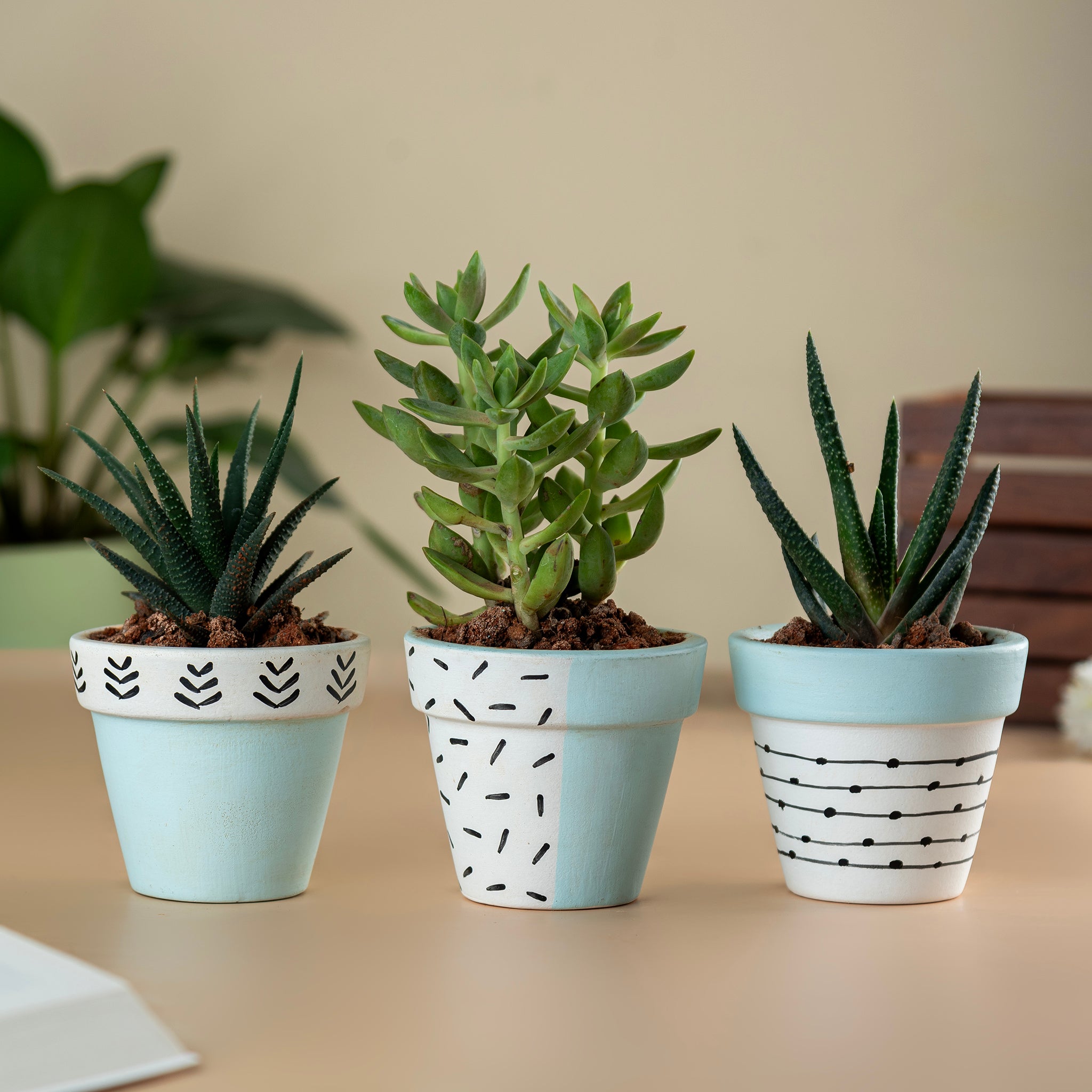 Set of 3 Handpainted Tiny Terracotta Pots - Blue