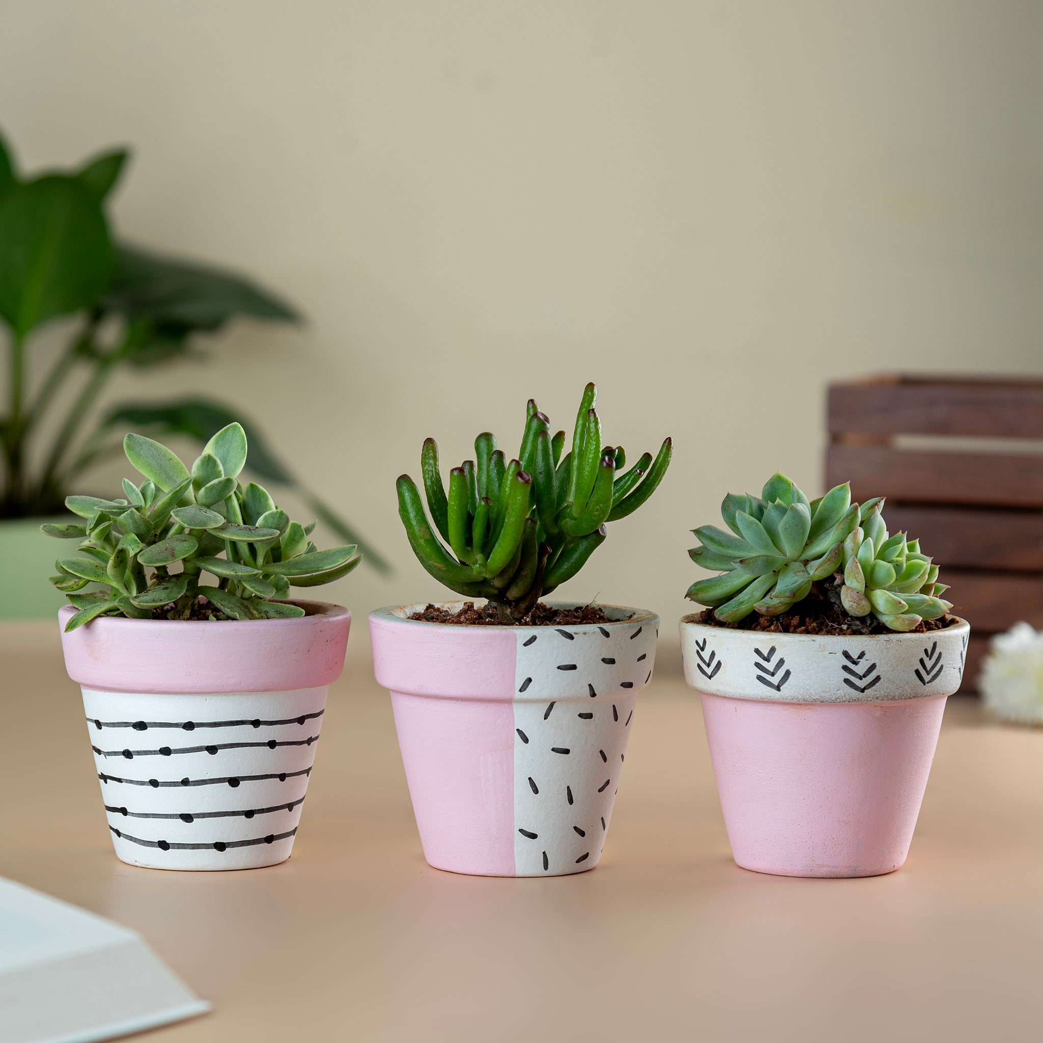 Set of 3 Handpainted Tiny Terracotta Pots - Pink